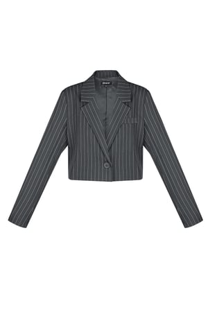 Pinstripe Cropped Blazer - Grey h5 